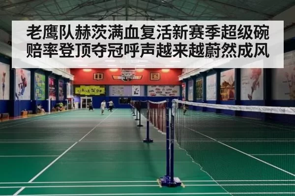 老鹰队赫茨满血复活新赛季超级碗赔率登顶夺冠呼声越来越蔚然成风